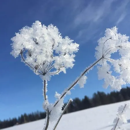 Nyaraló Zottlhof- Dein Urlaubszauber Auf 1.200m