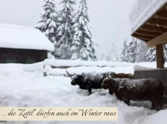 Zottlhof- Dein Urlaubszauber Auf 1.200m