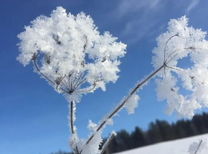 Vakantiehuis Zottlhof- Dein Urlaubszauber Auf 1.200m