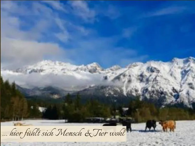 Zottlhof- Dein Urlaubszauber Auf 1.200m