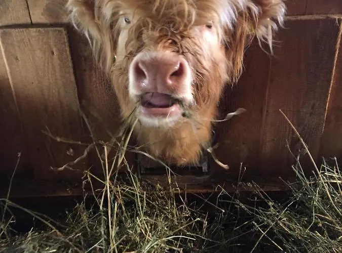 Zottlhof- Dein Urlaubszauber Auf 1.200m * Leutasch