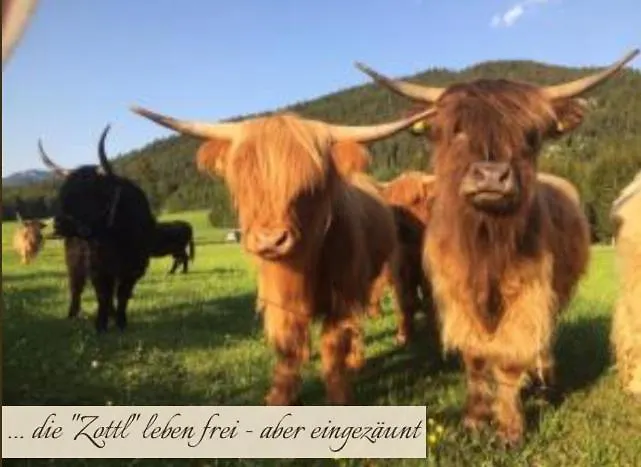 Zottlhof- Dein Urlaubszauber Auf 1.200m Vakantiehuis