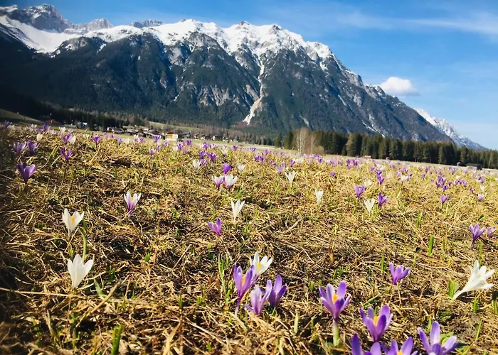 Zottlhof- Dein Urlaubszauber Auf 1.200m