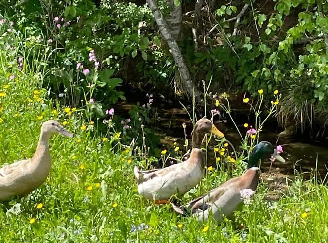Vakantiehuis Zottlhof- Dein Urlaubszauber Auf 1.200m Leutasch