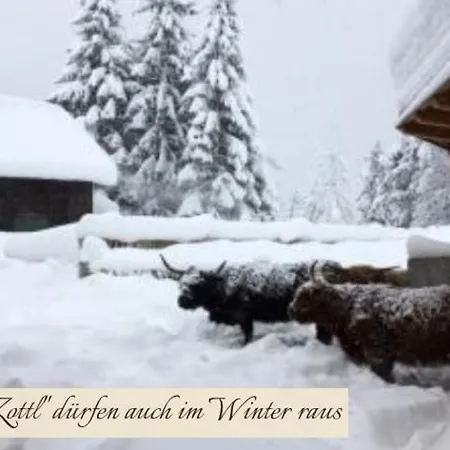 Zottlhof- Dein Urlaubszauber Auf 1.200m