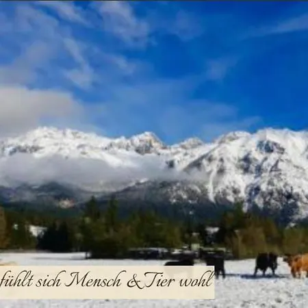 Zottlhof- Dein Urlaubszauber Auf 1.200m