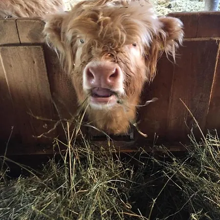 Zottlhof- Dein Urlaubszauber Auf 1.200m * Leutasch