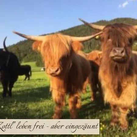 Zottlhof- Dein Urlaubszauber Auf 1.200m Prázdninový dům