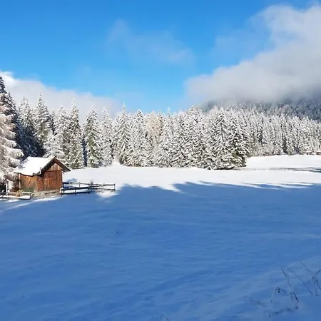 Zottlhof- Dein Urlaubszauber Auf 1.200m