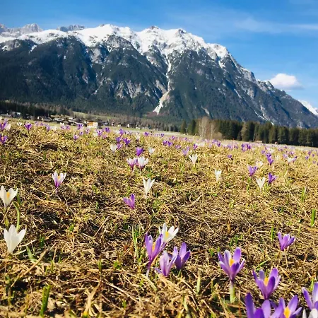 Zottlhof- Dein Urlaubszauber Auf 1.200m