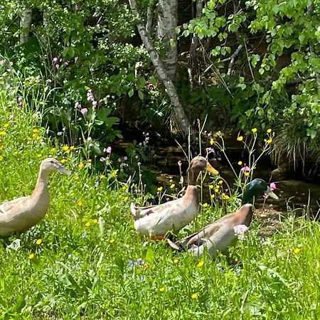 Σπίτι διακοπών Zottlhof- Dein Urlaubszauber Auf 1.200m Leutasch