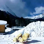 Zottlhof- Dein Urlaubszauber Auf 1.200m Leutasch