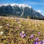 Zottlhof- Dein Urlaubszauber Auf 1.200m