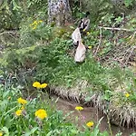 Zottlhof- Dein Urlaubszauber Auf 1.200m *